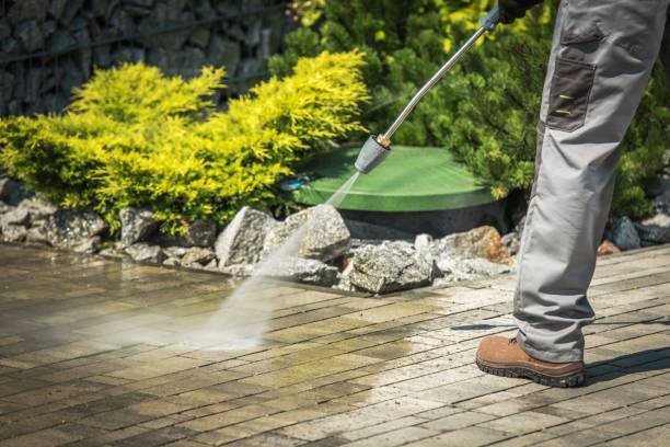 Best Fence Cleaning  in Sand Lake, MI